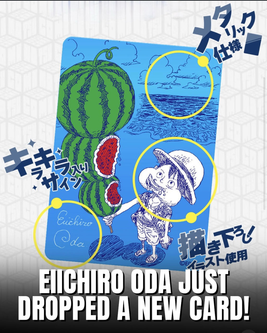 MetaKira Collectible Cards One Piece con Firma
Elichiro Oda - Natsucomi 2026 (JAP)
